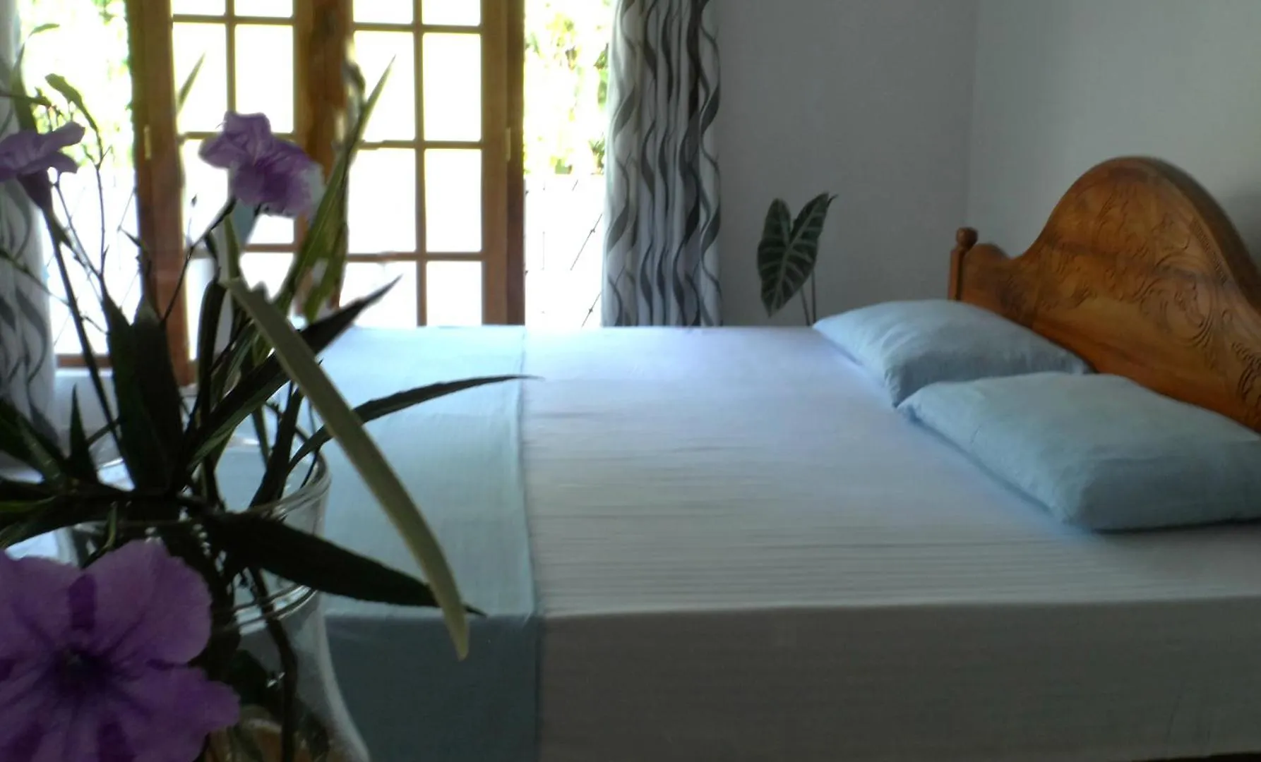 Kandy - The Green Haven Lodge